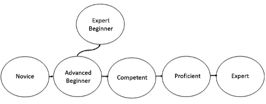 Expert beginner